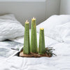 Lemongrass Icicle Candles from Paperie 